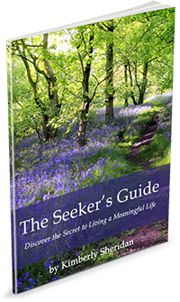 Fueled By Soul | The Seeker's Guide | Kimberly Sheridan